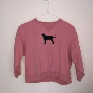 The black dog in light pink